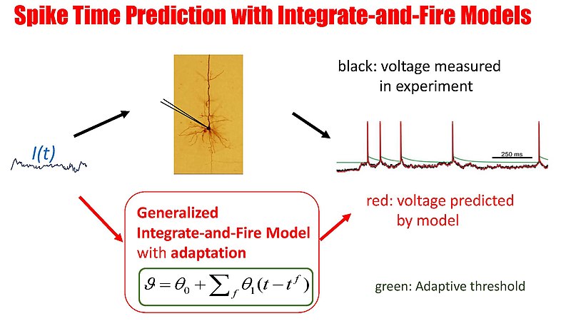 File:Spike Time Prediction with Generalized Integrate-and-Fire model.jpg