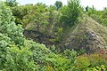 English: Státní lom, an abandoned quarry in the nature park Velký Kosíř. National natural monument. Čeština: Státní lom, přírodní park Velký Kosíř. Národní přírodní památka.