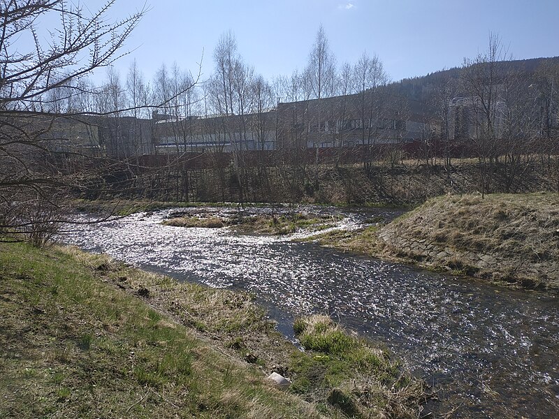 File:Střední Opava ve Vrbně pod Pradědem u soutoku s Bílou Opavou.jpg