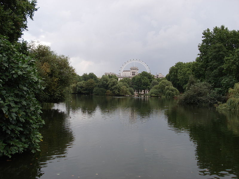 File:St James Park (2847476407).jpg