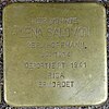 Stolperstein ABC-Straße 19 (Lena Salomon) in Hamburg-Neustadt.JPG