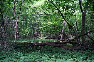 <span class="mw-page-title-main">Stone State Park</span> State park in Woodbury and Plymouth Counties, Iowa