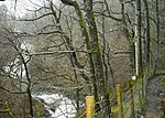 Thumbnail for File:Swallow falls from North bank path - geograph.org.uk - 3801381.jpg