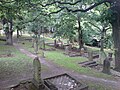 Symonds Street Cemetery