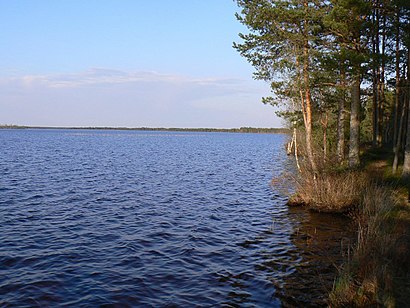 Kuidas ühistranspordiga sihtpunkti Tänavjärv jõuda - kohast