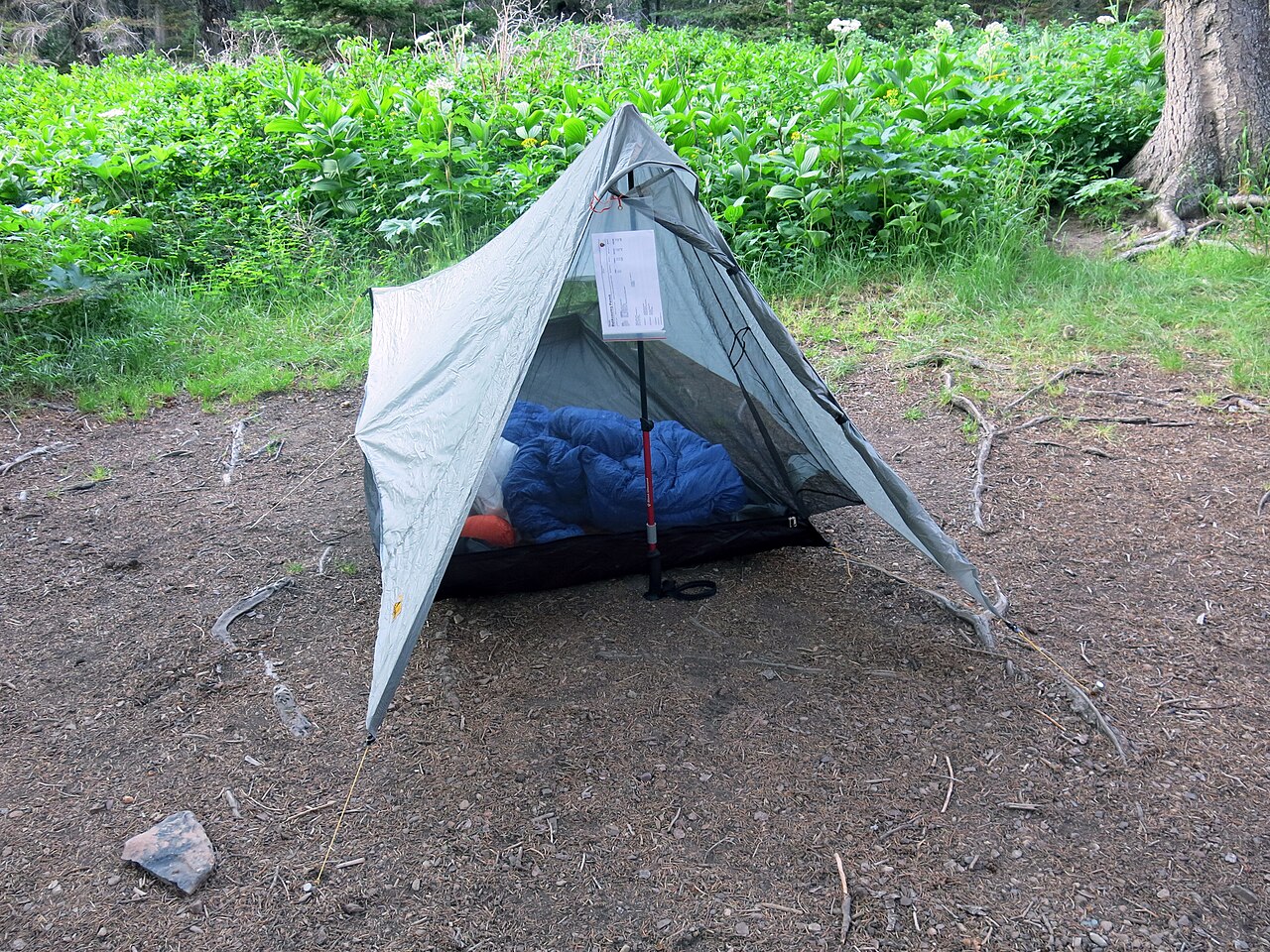 trekking pole tarp shelter