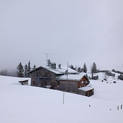 Taubensteinhaus in winter