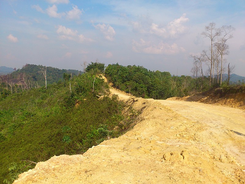 File:Temia Sio, Teriak, Bengkayang Regency, West Kalimantan, Indonesia - panoramio.jpg