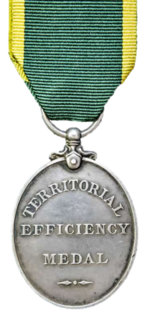 Bölgesel Verimlilik Madalyası, reverse.png