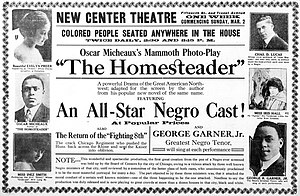 The Homesteader 1919 newspaperad.jpg