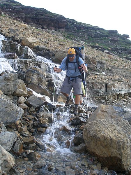 File:The seasonal melt washes over Gunsight Pass Trail from the northern slope of Mount Jackson. - panoramio.jpg