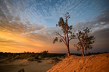 Dune system early morning Throne of the Dunes.jpg