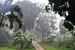 Thumbnail for Toro Negro, Ciales, Puerto Rico