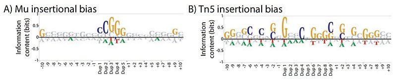 File:Transposases.jpg