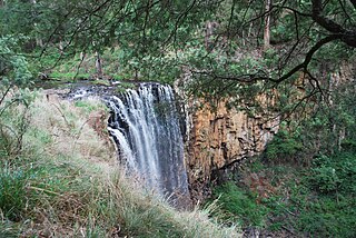 <span class="mw-page-title-main">Coliban River</span> River in Victoria, Australia