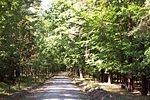 Racetrack, the access route to the hunting lodge laid out by the Prince of the Netherlands