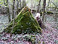 Megalith of Coutoux