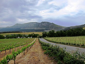 Groot Constantia, the oldest wine estate in South Africa Vignoble de Groot Constantia Afrique du Sud.jpg