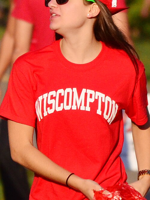 This 2012 novelty t-shirt combines the names of two place names, Wisconsin and Compton, California to form 'WISCOMPTON'.