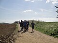 Walk the Wight 2011, seen on a public footpath through fields near Arreton, Isle of Wight. At this point, with the large number of people walking on the path and the very dry weather at the time, the path and air became very dusty.