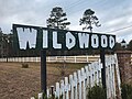 Thumbnail for Wildwood, Texas