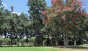 Thumbnail for File:Wisner Blvd New Orleans view to Southern Regional Research Center complex August 2023 - 2.jpg