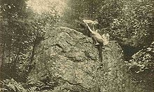 Wolf Rock in 1909 Wolf Rock, Mason, NH.jpg