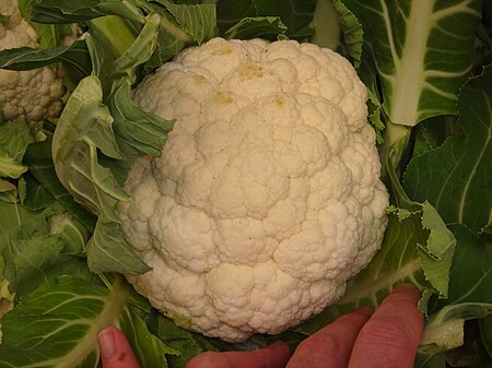 ไฟล์:Woolworths-cauliflower.jpg