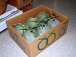 Yubari Yubari melons in the cardboard box.JPG