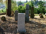 Čeština: Náhrobek se symbolem stromu na židovském hřbitově v obci Puklice, okres Jihlava. English: Gravestone with the symbol of a tree in the Jewish cemetery in Puklice, Jihlava District, Vysočina Region, Czech Republic.