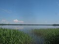 Miniatuur voor Bestand:Озеро Кудинское. Вид с деревни Цикарево.jpg