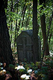 Старовинне козацьке кладовище в с. Трахтемирів (1).jpg