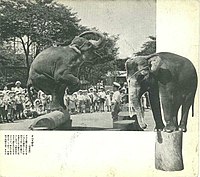恩賜上野動物園 Wikipedia