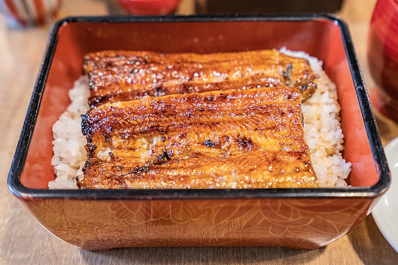 Unagi - Wikipedia