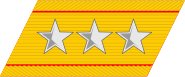 帝國陸軍の階級―襟章―大将.svg