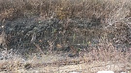 한국가스공사 본사 부근 계곡(이노벨리로57길 도로변)에 노출된 노두 하양층군 대구층(Kt)에 해당하는 지층이다. (대구도폭) 대구광역시 동구 신서동 1139