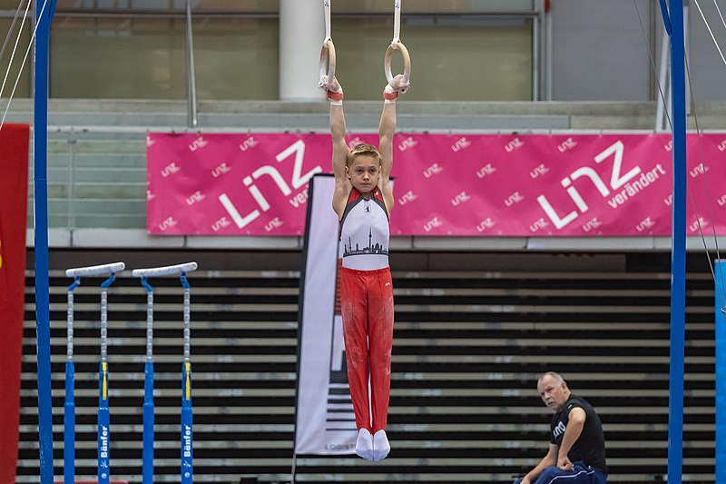 File:15th Austrian Future Cup Linz Löwe Luc by Isiwal-8190.jpg