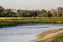 Mulde bei Bad Düben