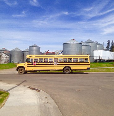 Blue Bird school bus in Spruce Grove, Alberta