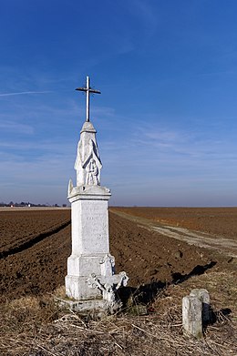 Изображение в информационном окне.