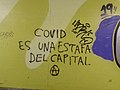 "COVID SERMAYE'NİN BİR ALDATMASIDIR Ⓐ", anarşist grafiti