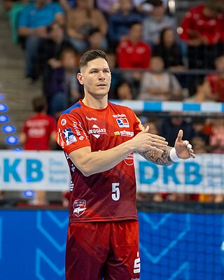 <span class="mw-page-title-main">Csaba Leimeter</span> Hungarian handball player (born 1994)