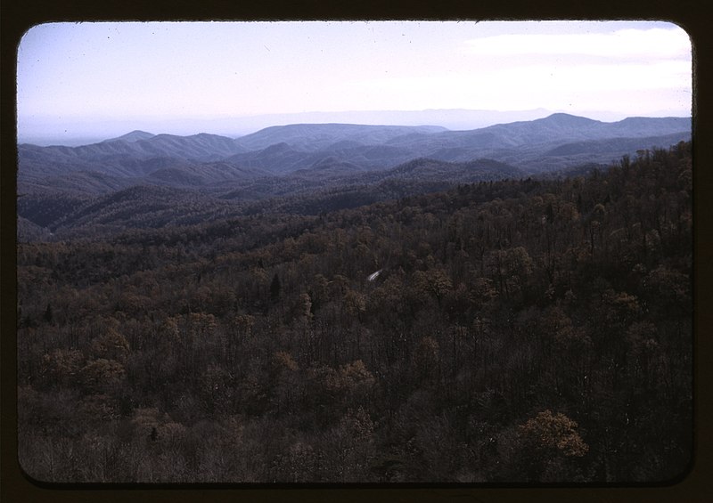 File:A view of the mountains along the Skyline Drive in Virginia LCCN2017877427.jpg