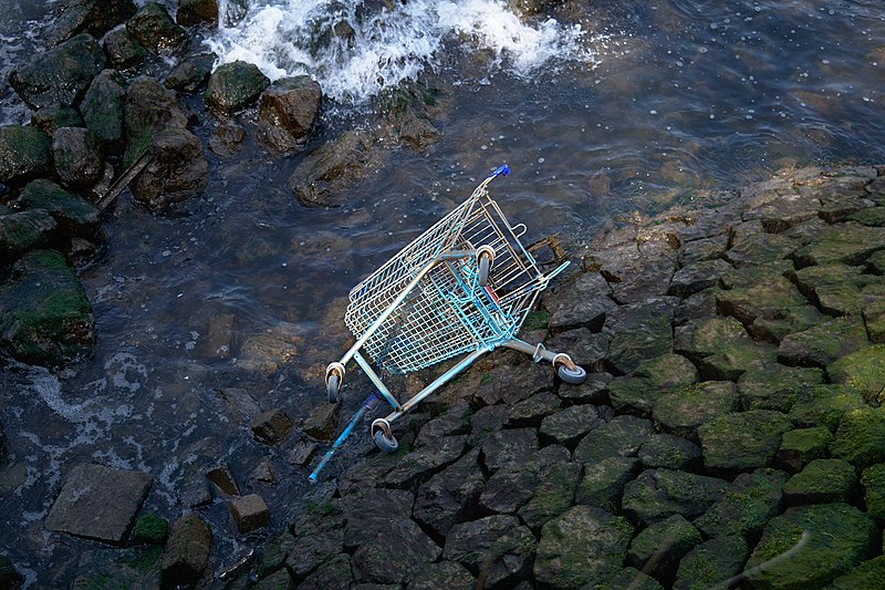 File:Abandoned shopping cart in Rotterdam.jpg