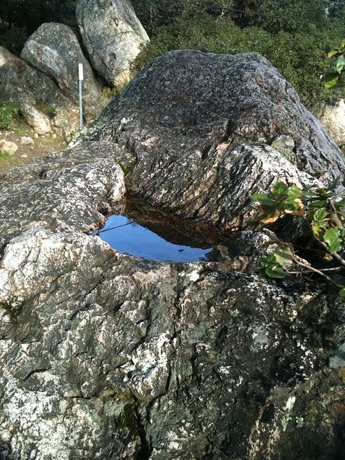 This pit in the surface of a rock at Indian Rock Park is typical of those used by the Ohlone people to grind acorns.