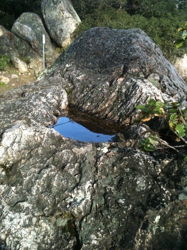 This pit in the surface of a rock at Indian Rock Park is typical of those used by the Ohlone people to grind acorns.