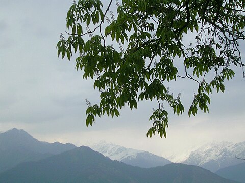 Pithoragarh