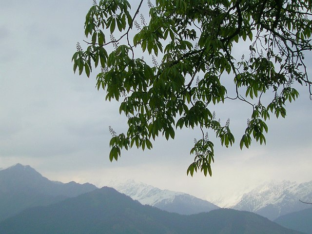 Himalayan view from Pithoragarh