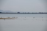 Akyatan Lagoon 04.jpg