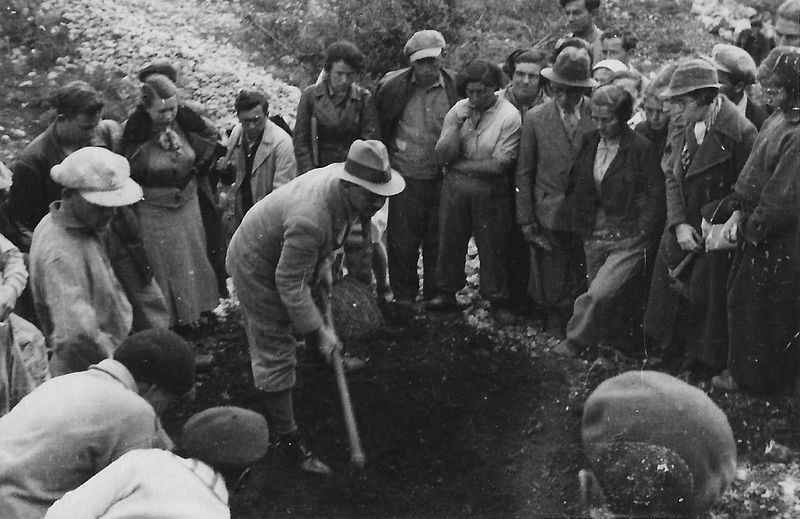 File:Alexander Eig Laying the Groundwork for the Botanical Garden on Mount Scopus.jpg
